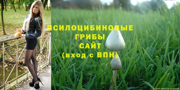 спиды Алзамай