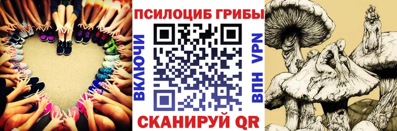 купить наркоту  Бавлы  Галлюциногенные грибы мицелий 